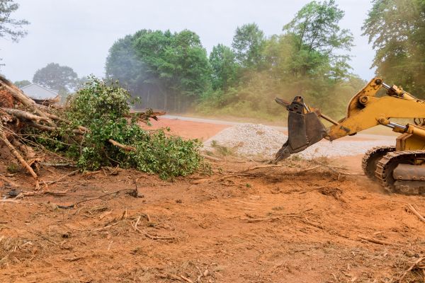 Ground Clearing in Shawnee