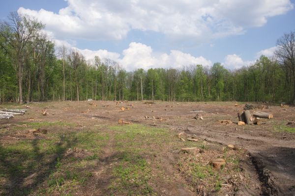 Cost of Pasture Clearing in Shawnee