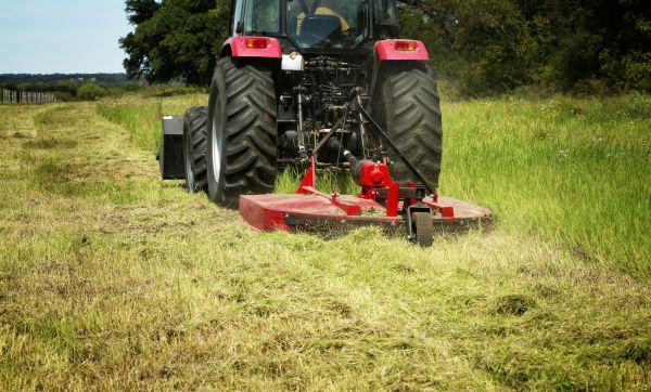 Brush Clearing Service in Shawnee