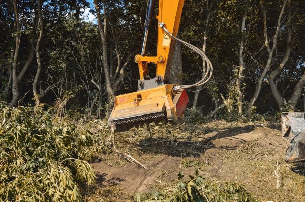 Brush Removal Service in Shawnee