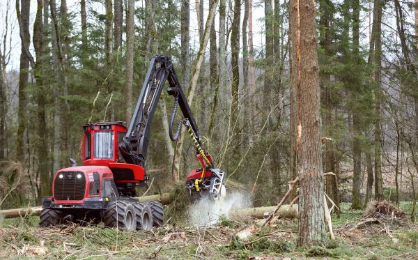 Cost of Forest Clearance Service in Shawnee