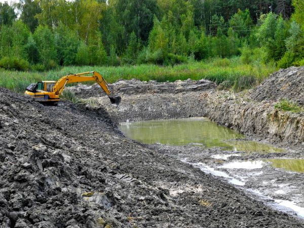 Cost of Lake Lot Clearing in Shawnee
