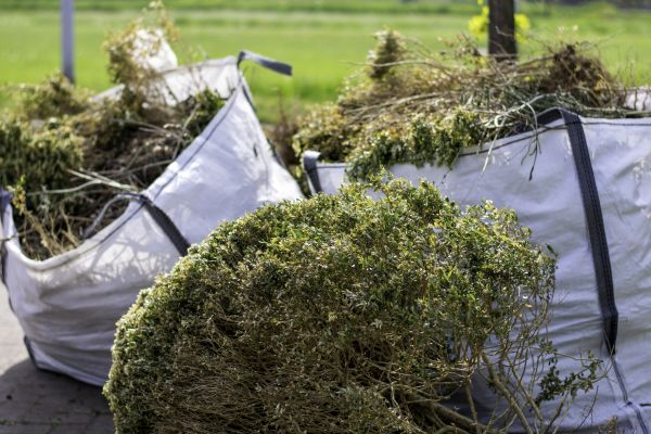Cost of Bushes Clearing in Shawnee