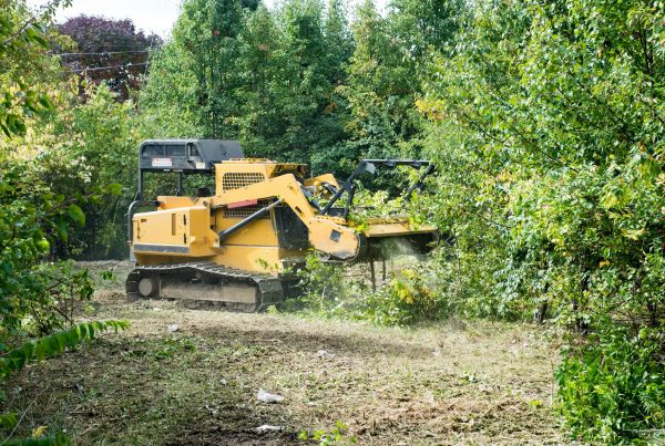 Cost of Pathway Clearing in Shawnee