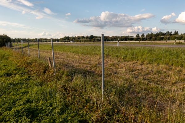 Cost of Property Line Clearing in Shawnee