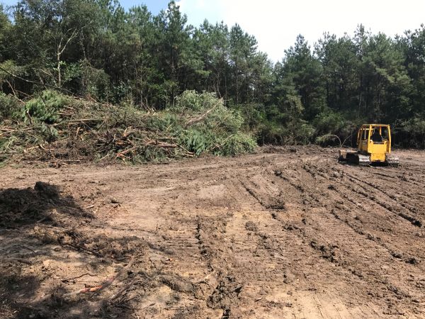 Cost of Thicket Clearing in Shawnee