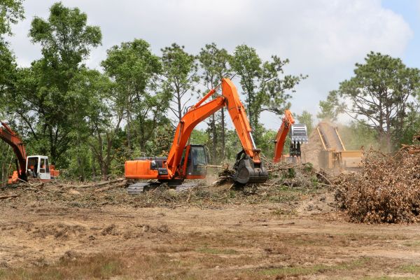 Cost of Commercial Lot Clearing in Shawnee