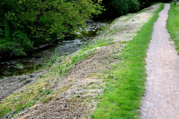Cost of Trail Cutting in Shawnee