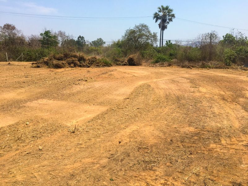 Cleared Land for Development